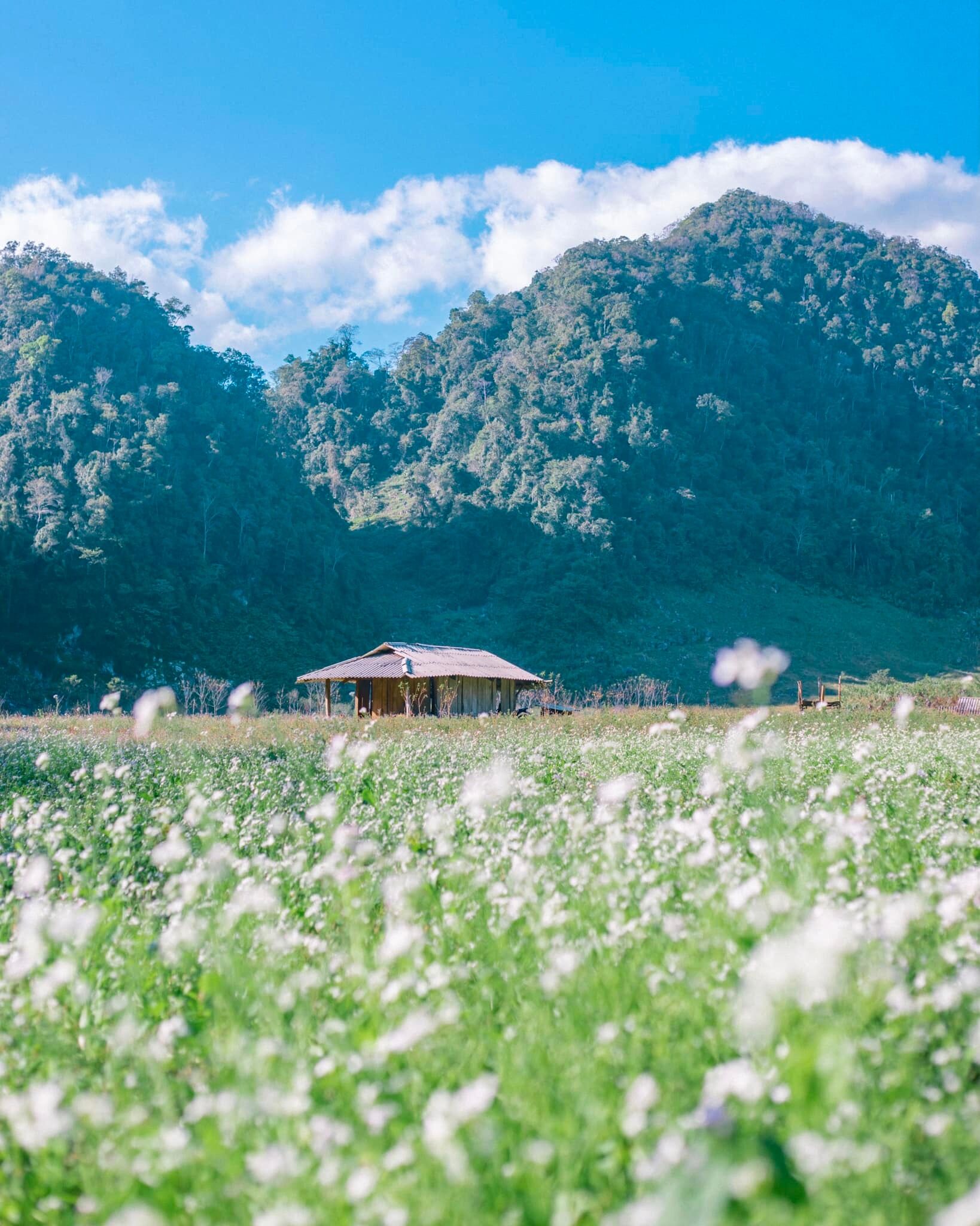 du lịch việt nam