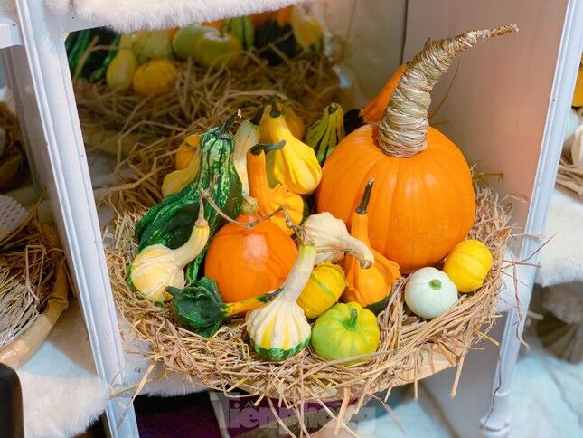lễ hội Halloween