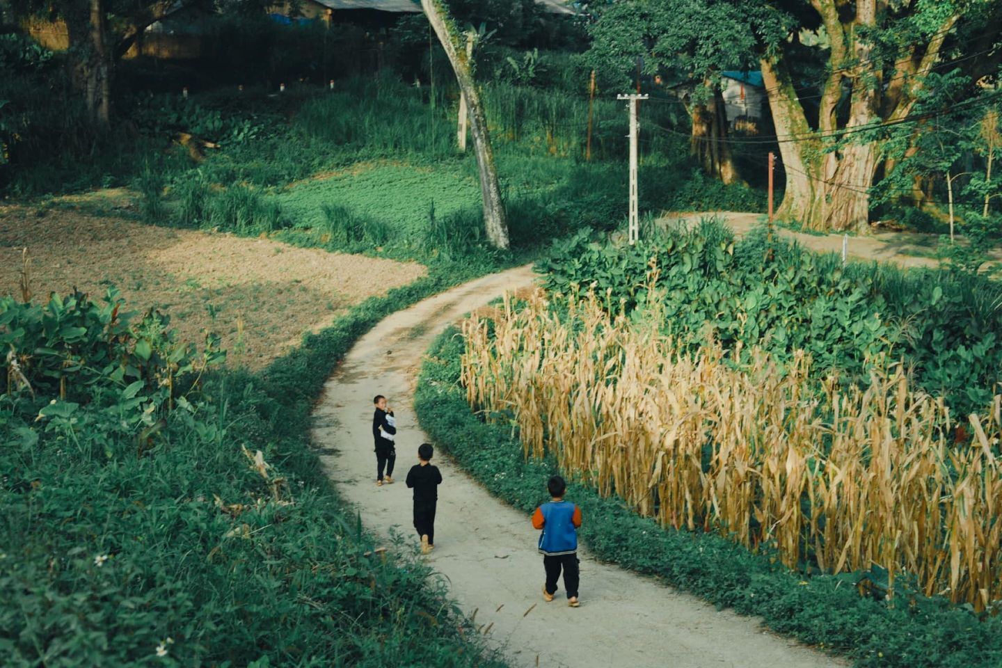 du lịch việt nam