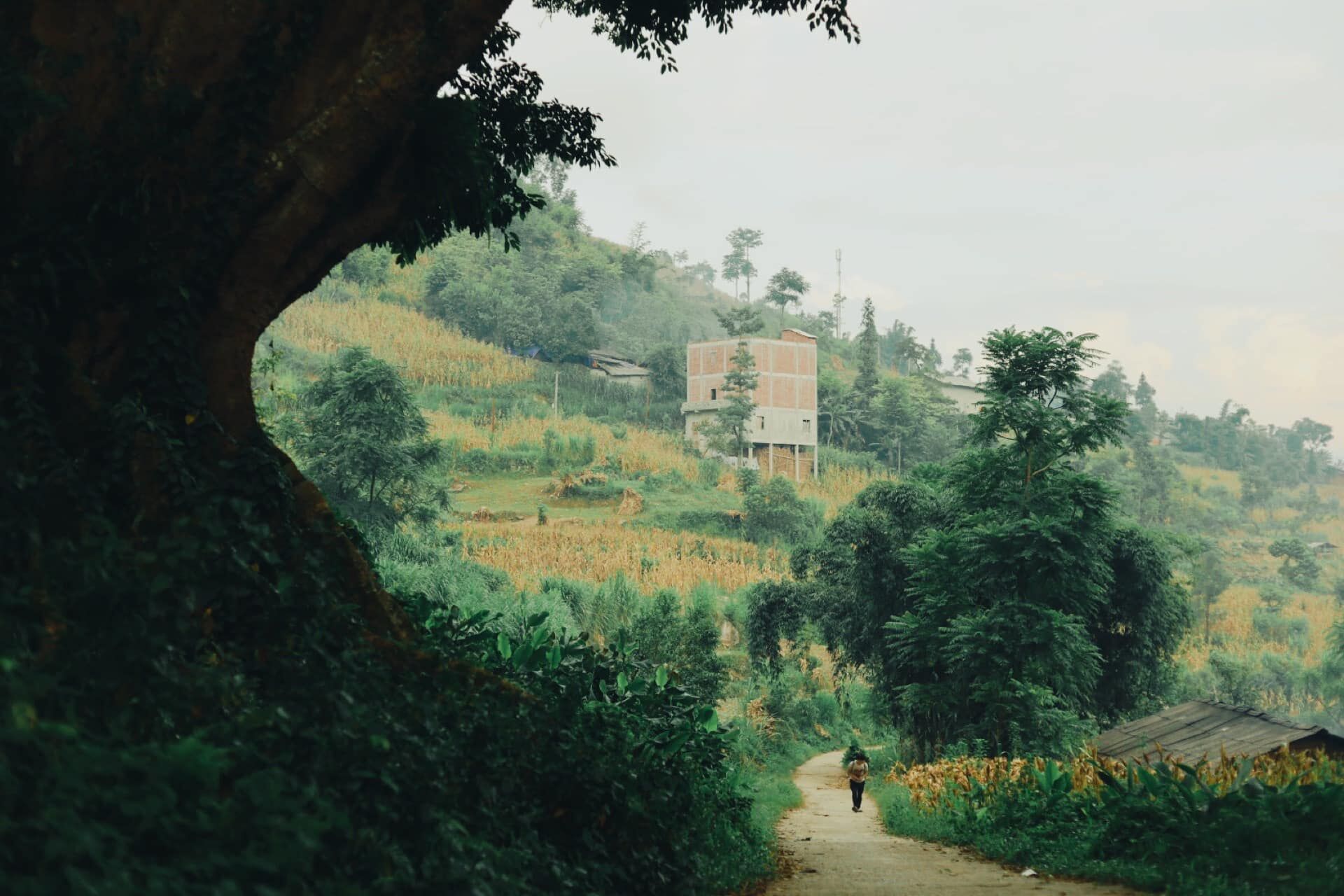 du lịch việt nam