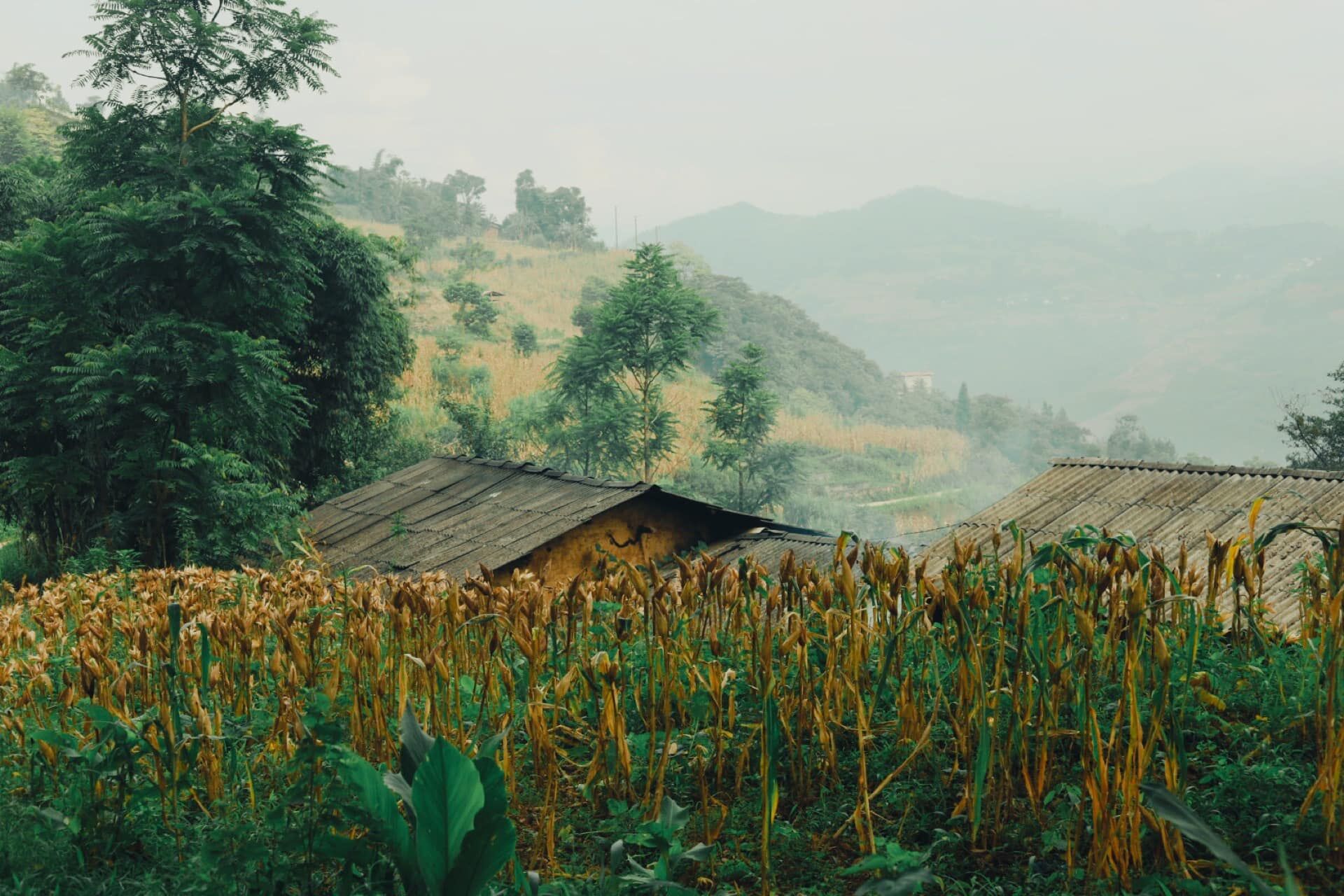 du lịch việt nam