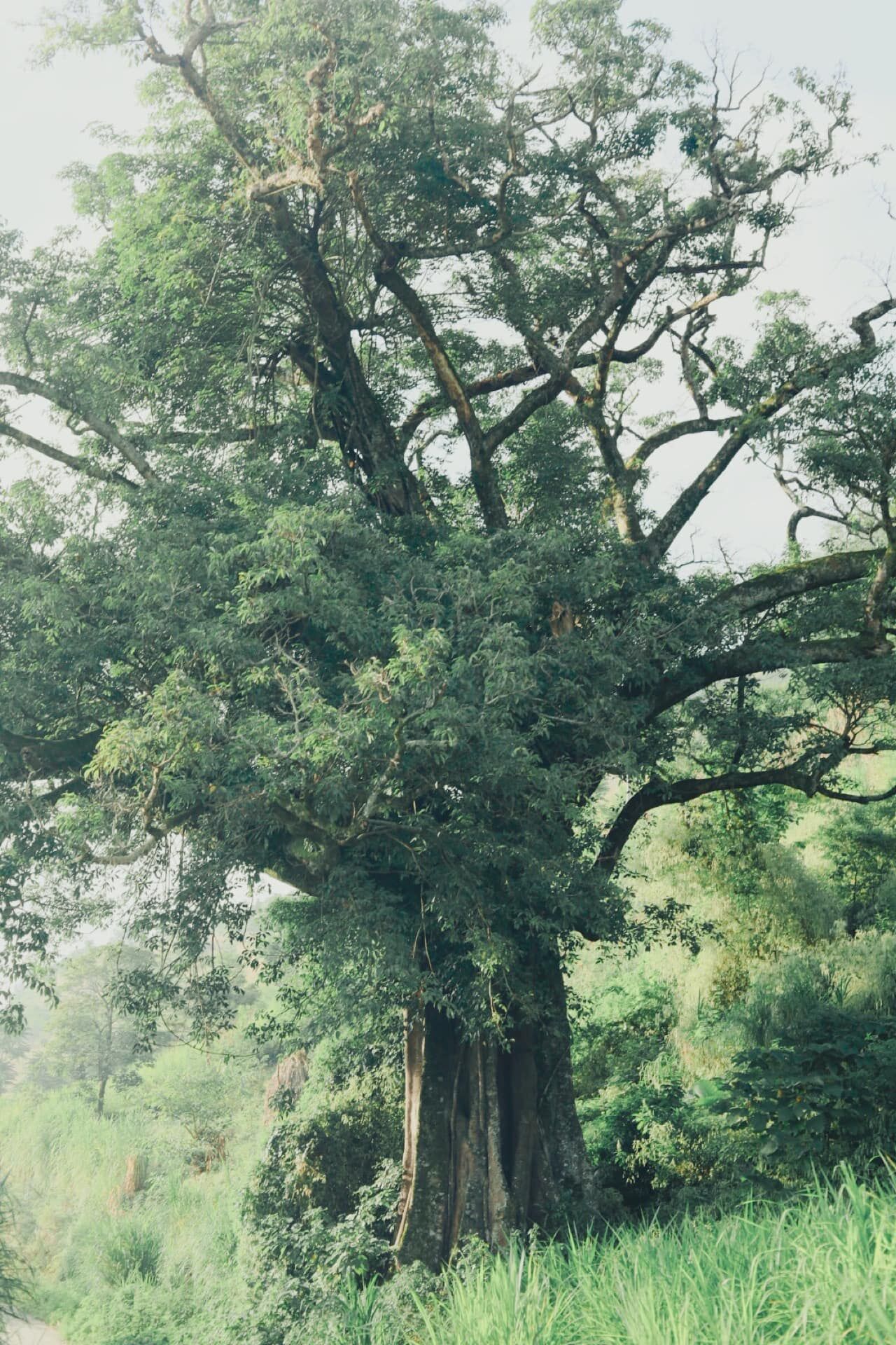 du lịch việt nam