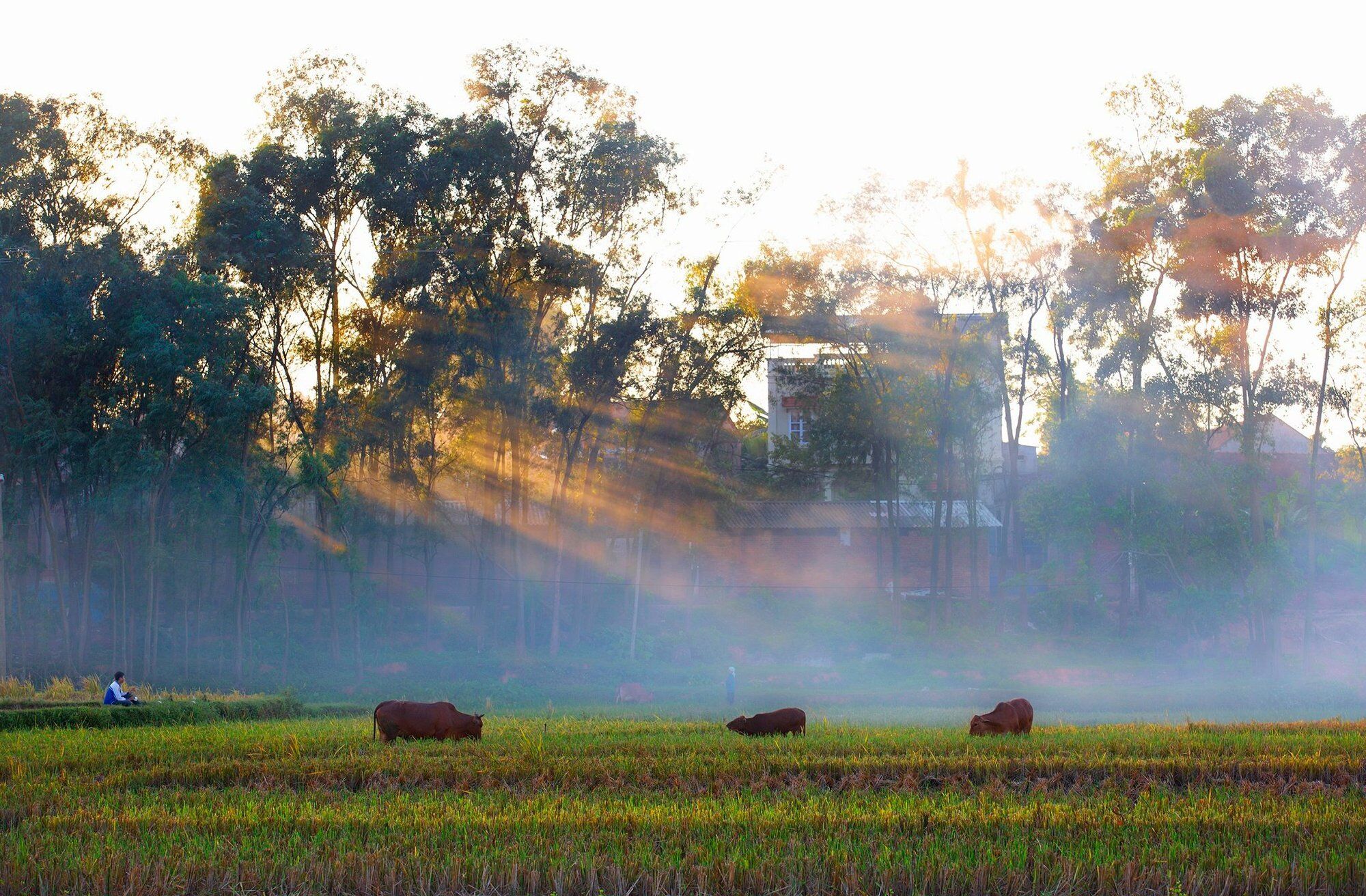 du lịch việt nam