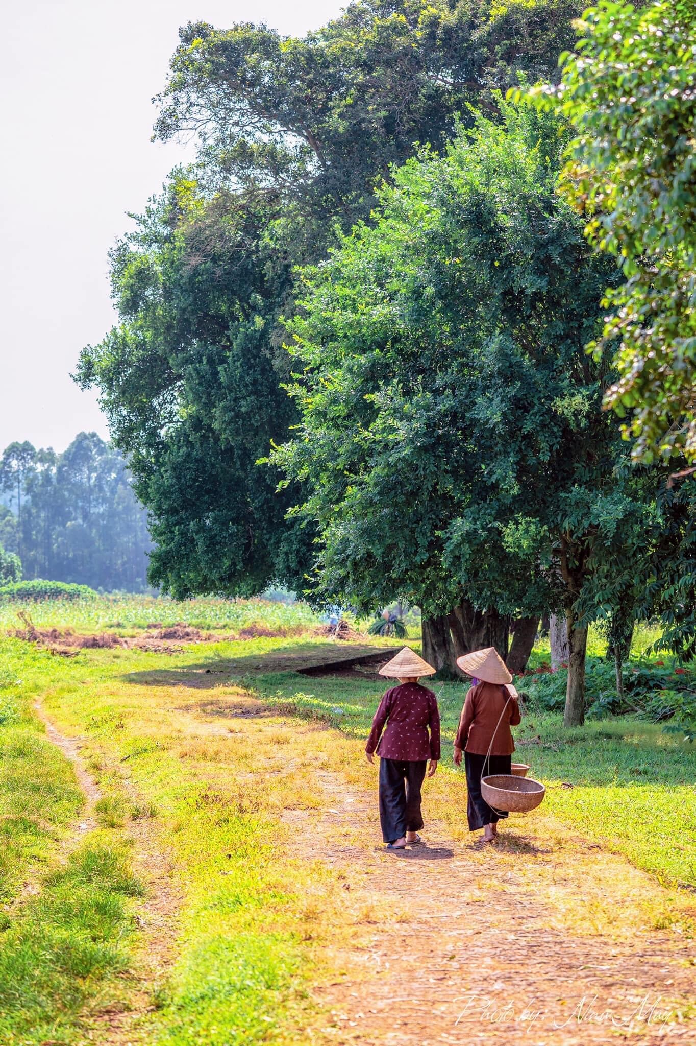 du lịch việt nam