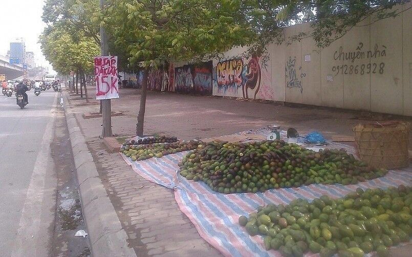 quả bơ