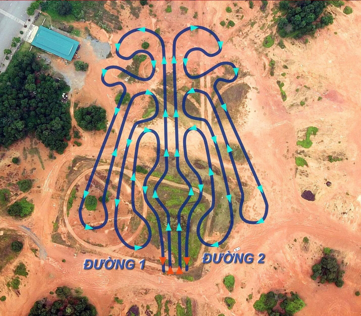 2d.jpg
