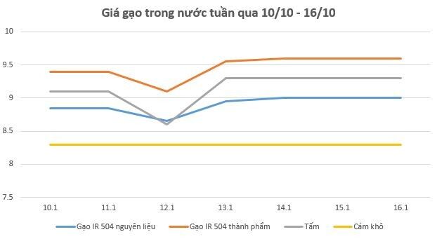 gia-gao-tuan-21020221015195437.jpg?rt=20221015195437
