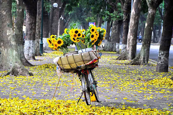thời tiết