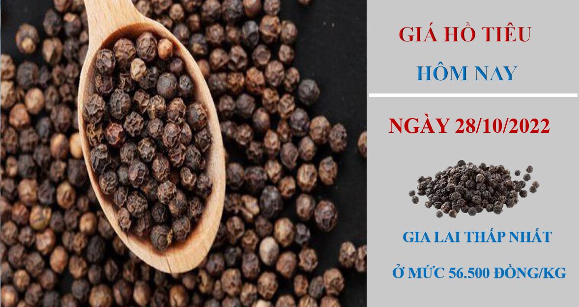 giá hồ tiêu