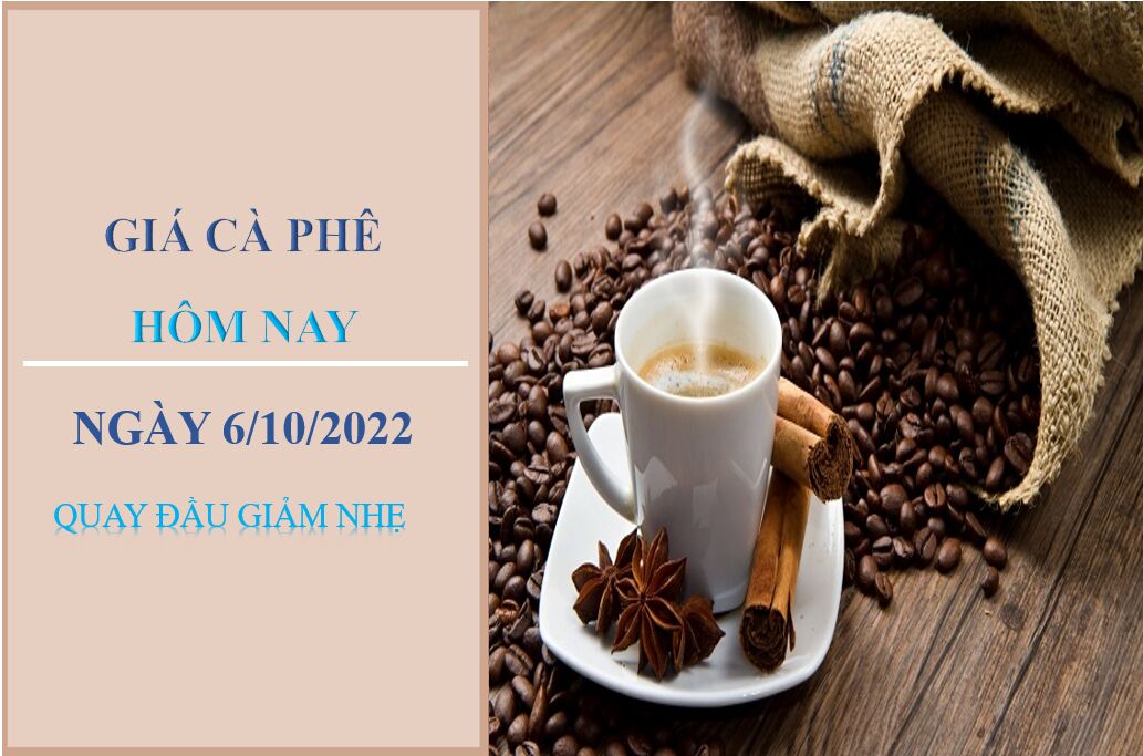 Giá cà phê