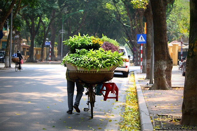 thời tiết