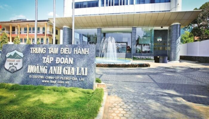 Cổ phiếu HAG của Hoàng Anh Gia Lai (HAG) chuyển sang diện cảnh báo