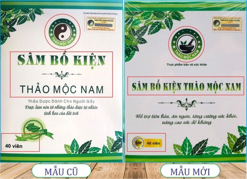 xuong-khop-thao-moc-nam