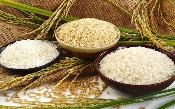 giá gạo Việt nam