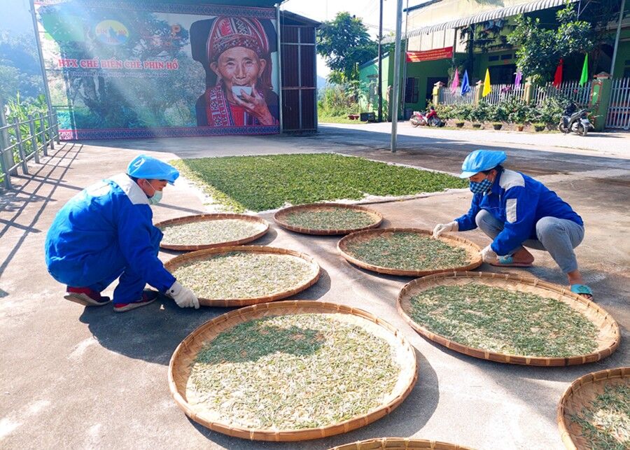 Bà Triệu Mùi Nghính, gương mặt thương hiệu của sản phẩm Fìn Hò Trà