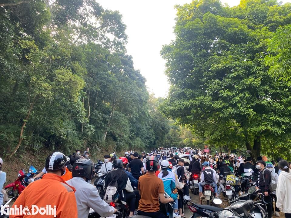 Vườn quốc gia Ba Vì quá tải dịp cuối tuần - Ảnh 2