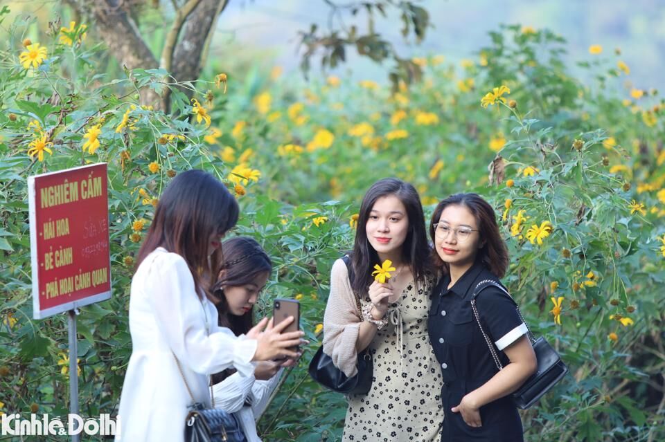 Một số du kh&aacute;ch tranh thủ "check-in" ngay dọc đường l&ecirc;n đỉnh n&uacute;i Ba V&igrave;.