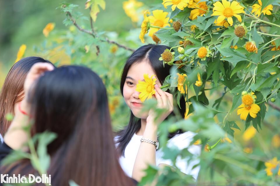 Nhiều người tranh thủ bỏ khẩu trang để chụp ảnh c&ugrave;ng hoa d&atilde; quỳ.