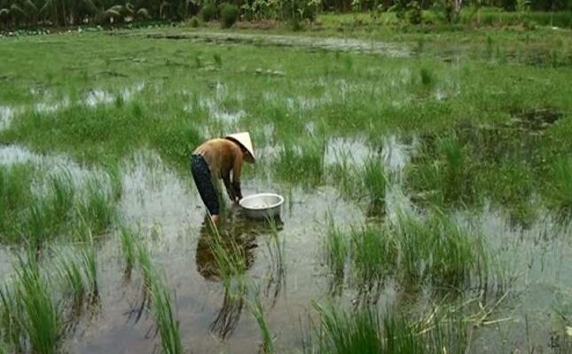 đặc sản miền tây