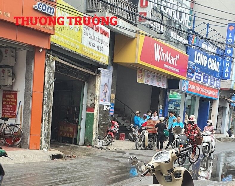 hồng sâm Hàn Quốc