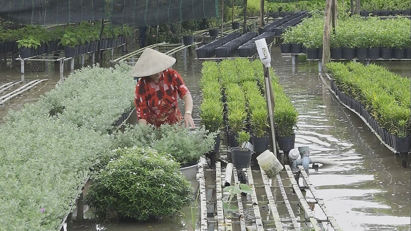 Chênh lệch nhiệt độ lớn, kiểu thời tiết "ngày hè đêm đông" tại miền Bắc kéo dài đến bao giờ? - Ảnh 4. Chênh lệch nhiệt độ lớn, kiểu thời tiết "ngày hè đêm đông" tại miền Bắc kéo dài đến bao giờ? - Ảnh 4.