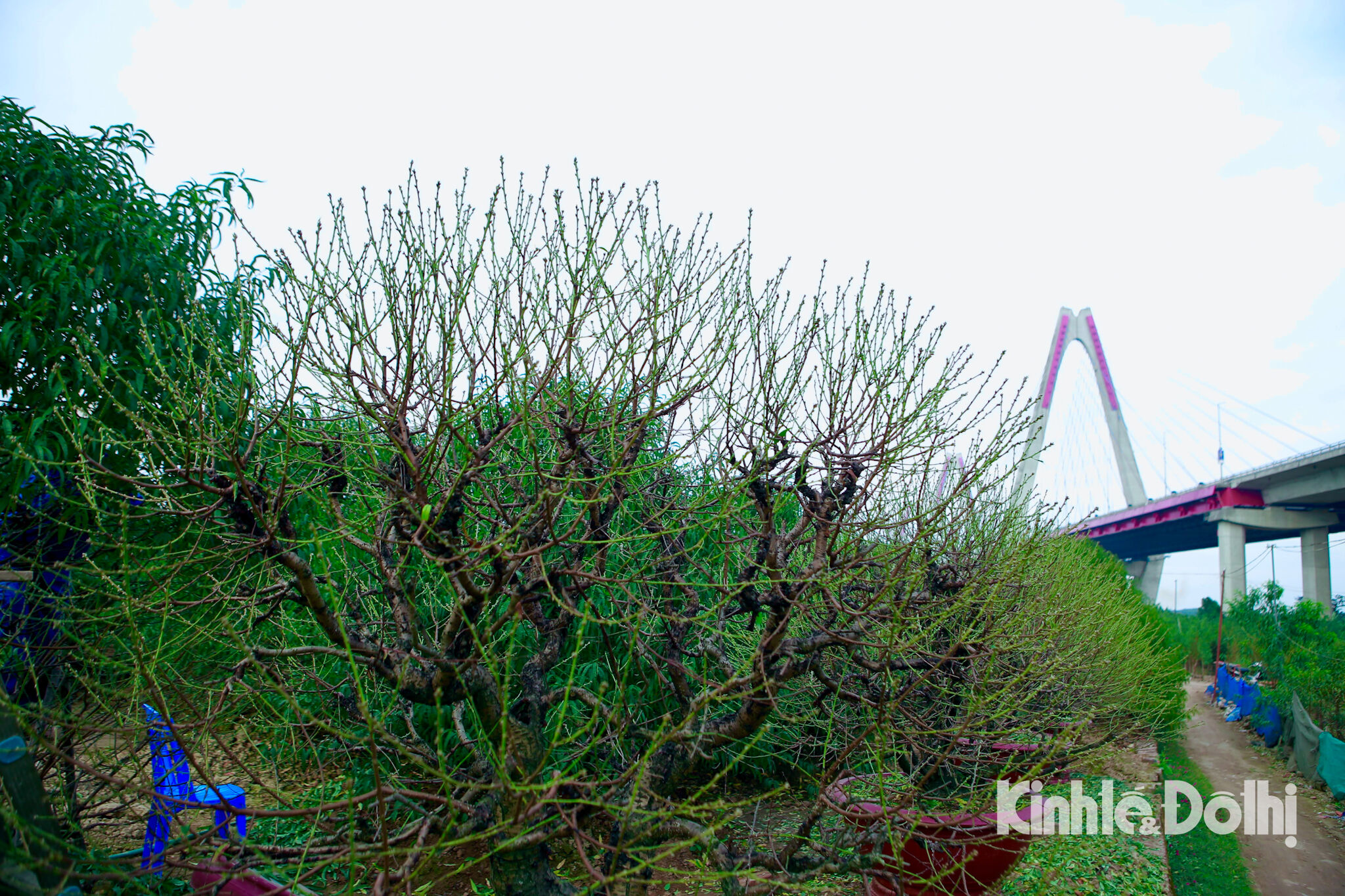 aa7388b8-6c30-4d25-b7eb-61ffe97a8653.jpeg