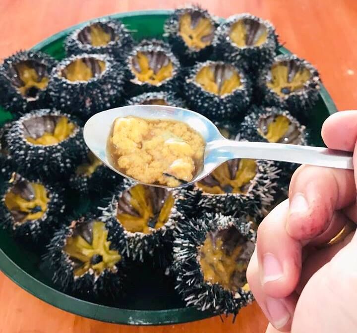 tau-cao-toc-con-dao-expreess-16700454541131428047294.jpeg