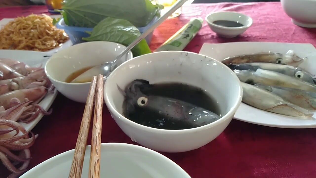 vung-dat-phu-quy-nghe-an-1670045454157314239362.jpeg