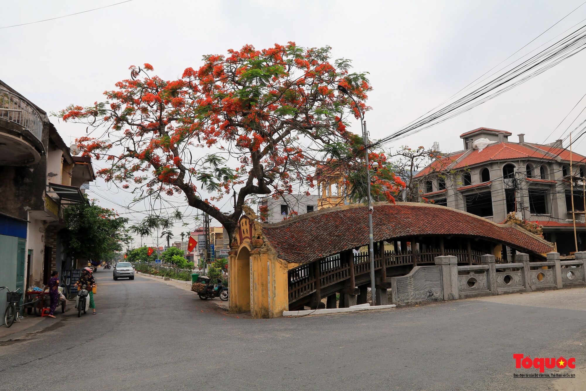 Vẻ đẹp của cây cầu ngói trên 500 tuổi tại Nam Định - Ảnh 2.