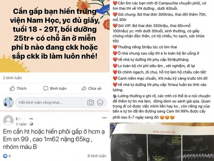 xam-nhap-dich-vu-de-thuedocx-1657984012767.jpeg