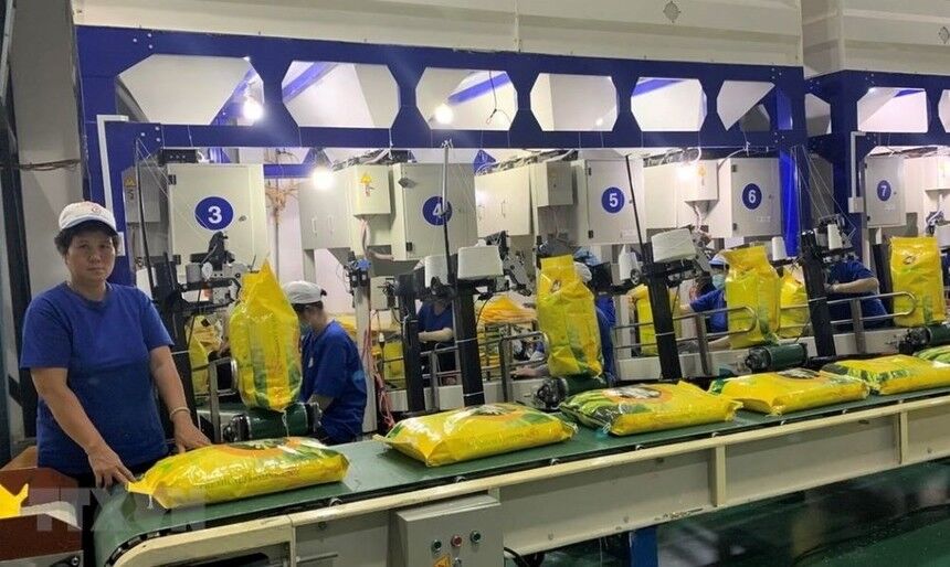 Giá lúa gạo hôm nay 10/8: Giá gạo xuất khẩu giảm 5 USD/tấn