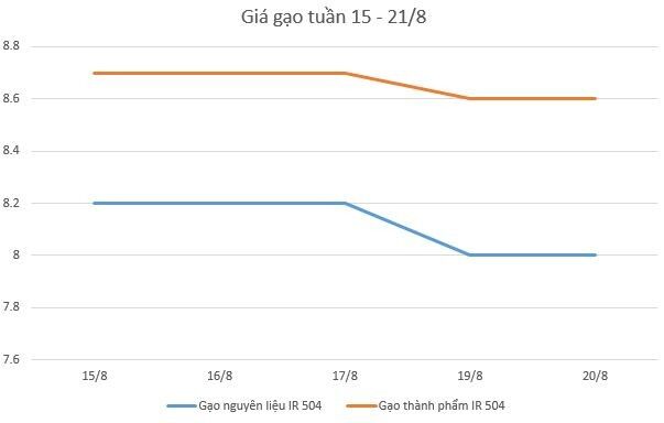 Giá lúa gạo hôm nay 21/8 và nhìn lại tuần qua: Nhiều triển vọng từ thị trường Trung Quốc và châu Phi