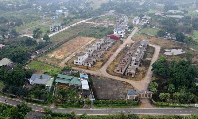 Hòa Bình siết dự án bán ‘lúa non’, đề nghị cung cấp bằng chứng cho công an ảnh 2
