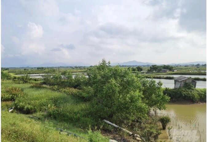Ecopark rao bán dự án khu đô thị Hưng Hòa, nhà đầu tư cần cẩn trọng