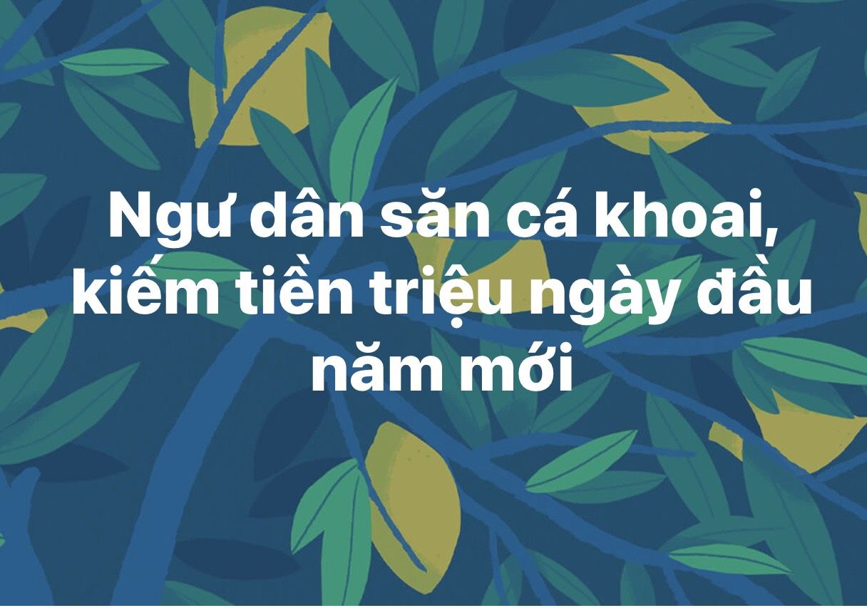 Ngư dân săn cá khoai, kiếm tiền triệu ngày đầu năm mới