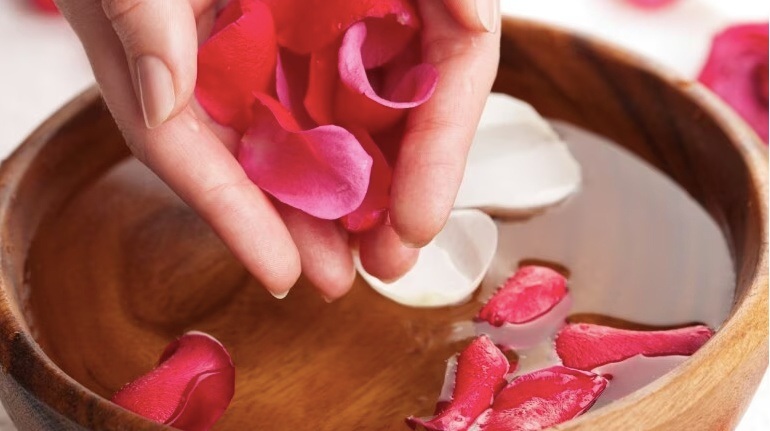 Hoa hồng vị thuốc độc đáo từ thiên nhiên
