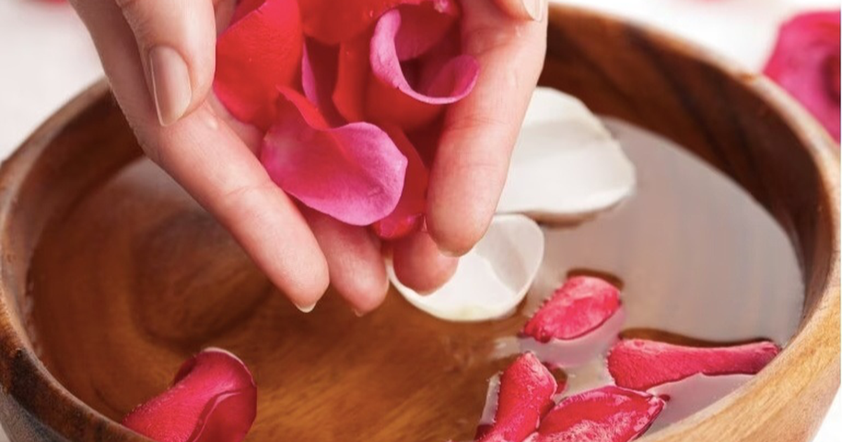 Hoa hồng vị thuốc độc đáo từ thiên nhiên