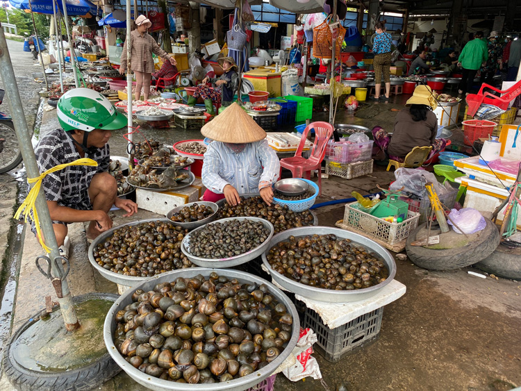 Đồng Tháp: Thu hoạch thủy sản mùa nước nổi không nhiều, giá bán tăng