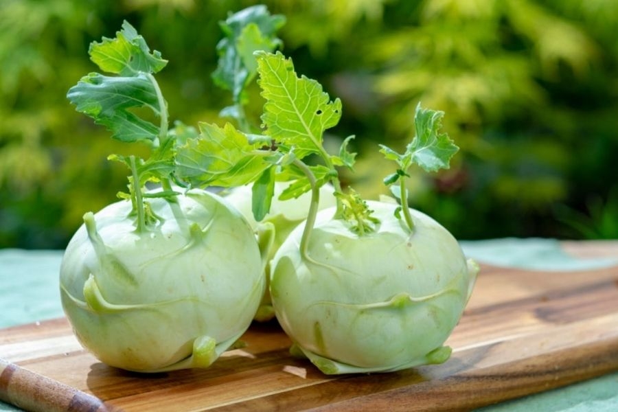 Su hào: "thần dược" cho sức khoẻ mùa đông
