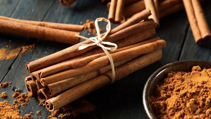 Loại cây phổ biến ở nước ta được xếp vào "tứ đại danh dược"