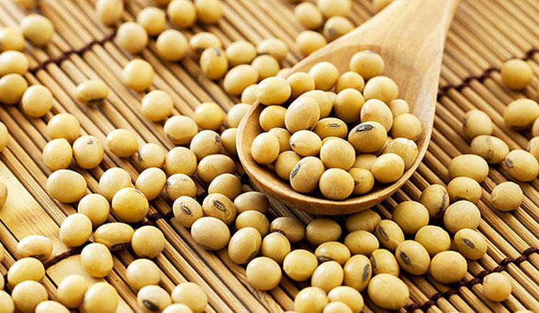 hat-soy-bean-la-gi-tac-dung-cua-hat-soy-bean-voi-suc-khoe-va-lam-dep-201909201356483019-1702814134547-1702814138068265929508.jpg