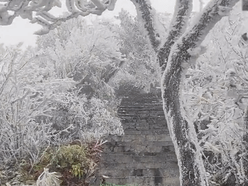 su-that-ve-duong-bang-tuyet-trang-xoa-o-viet-nam-khien-du-khach-truy-lungdocx-1703237357457.gif