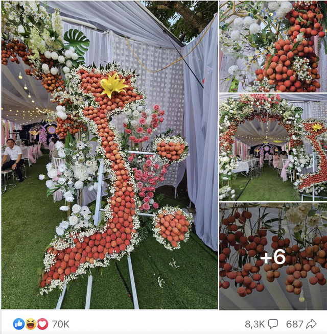 vải thiều Lục Ngạn