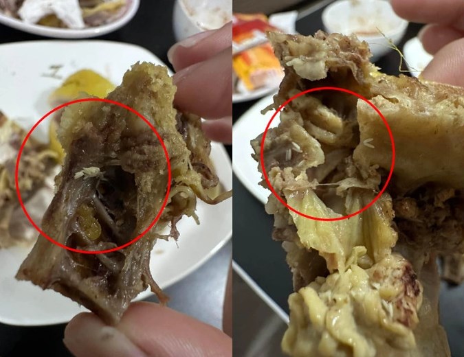 Hà Nội: Đang ăn gà luộc, cô gái phát hiện thấy trứng dòi lúc nhúc bên trong