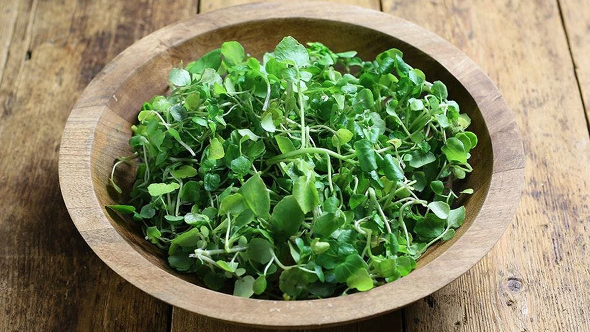 Loại rau xuất xứ từ châu Âu, chợ Việt bán nhiều với giá chỉ 40.000 đồng/kg, được mệnh danh là chống ung thư tốt nhất thế giới