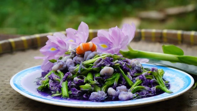 Người Việt thường vứt bỏ bèo tây, hóa ra đây là vị thuốc quý, món ăn ngon tại nhiều nước