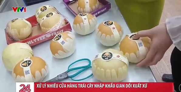 Lê Hàn Quốc bị giả mạo nguồn gốc xuất xứ tràn lan trên thị trường TP.Hà Nội