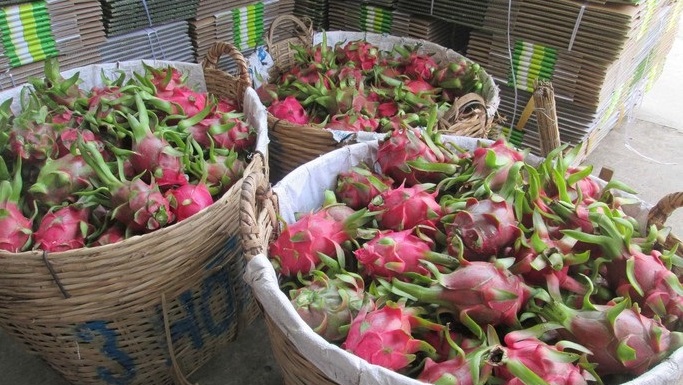 Thực hư thông tin siêu thị Anh dừng bán thanh long Việt Nam