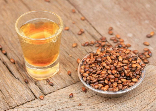 Trà lúa mạch là loại trà được người Nhật Bản ưa chuộng sử dụng từ lâu trong đời sống thường ngày với nhiều tác dụng bất ngờ đối với sức khỏe.