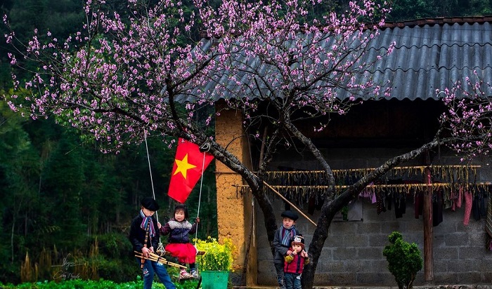 mua-mai-anh-dao-ha-giang-lam-me-dam-nhung-tam-hon-yeu-du-lich-03